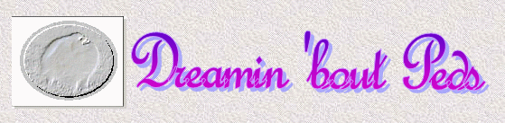 DreaminBoutPeds